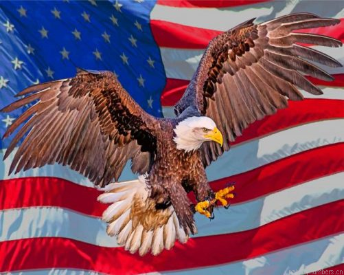 Aesthetic Eagle And Flag Painting By Numbers.png