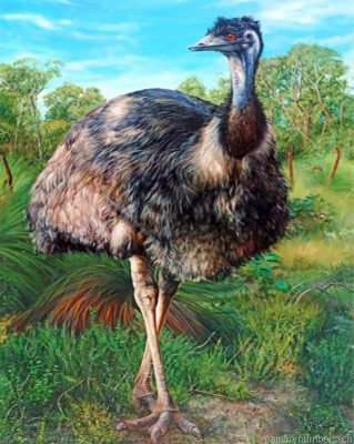 Aesthetic Emu Painting By Numbers.png