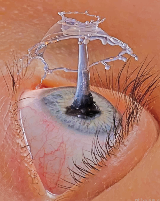 Aesthetic Eye Painting By Numberss.png