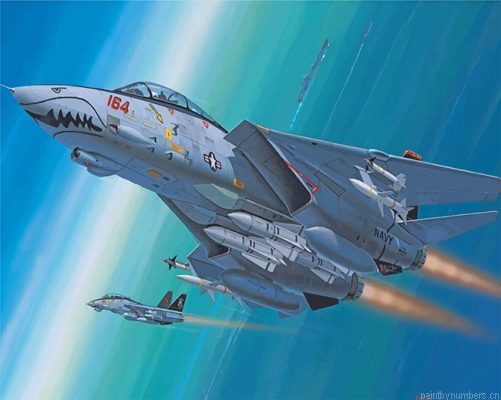 Aesthetic F14 Painting By Numbers.png