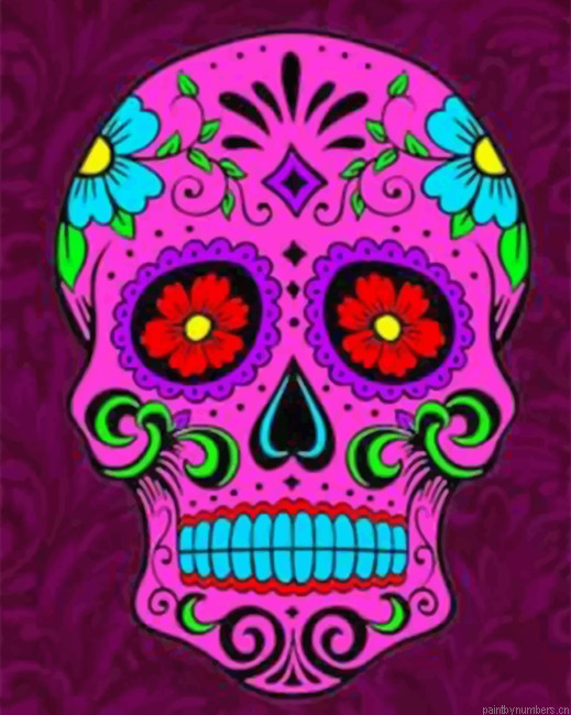 Aesthetic Folk Art Skull Painting By Numbers.png