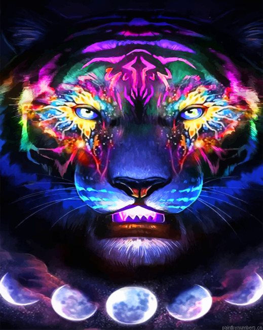 Aesthetic Galaxy Tiger Painting By Numberss.png