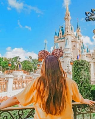 Aesthetic Girl In Disney Painting By Numbers.png