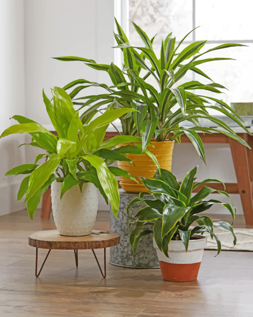 Aesthetic Green Plants Painting By Numbers.png