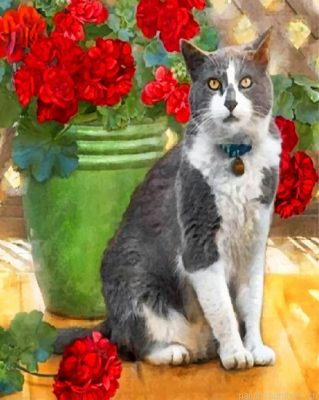 Aesthetic Grey Cat Painting By Numbers.png