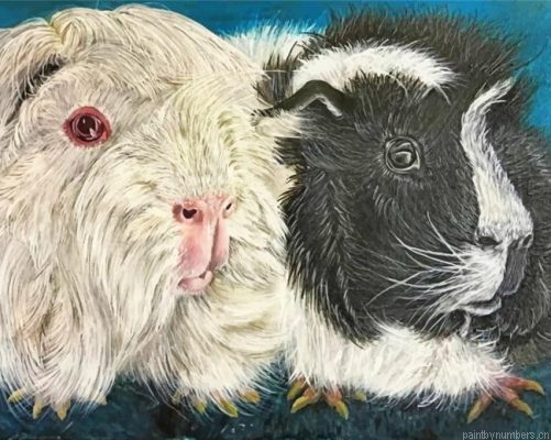 Aesthetic Guinea Pigs Painting By Numbers.png