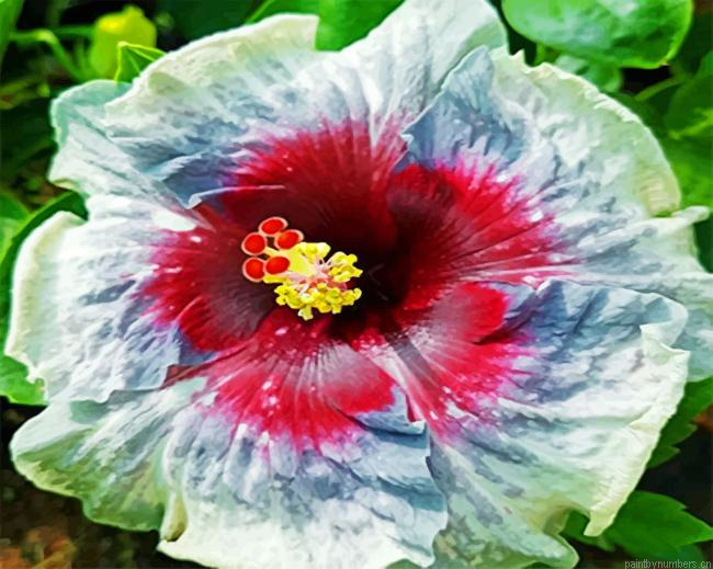 Aesthetic Hibiscus Flower Painting By Numberss.png