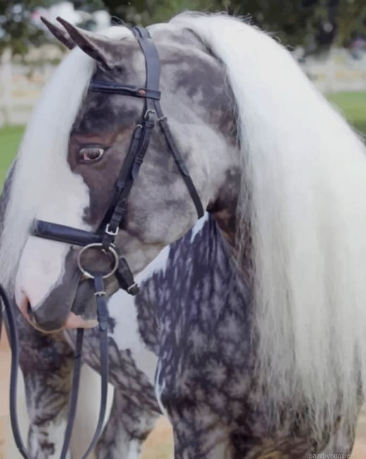 Aesthetic Horse Animals Painting By Numberss.png