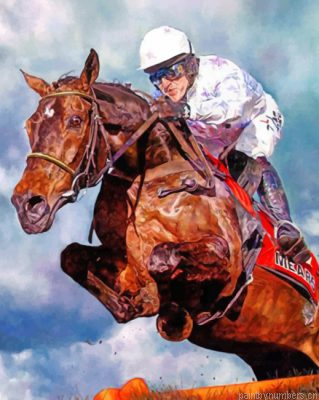 Aesthetic Horse Racing Painting By Numbers.png
