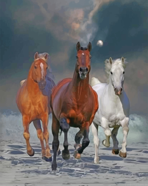 Aesthetic Horses Painting By Numberss.png