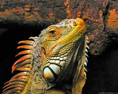 Aesthetic Iguana Painting By Numbers.png