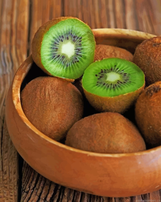 Aesthetic Kiwi Fruit Painting By Numbers.png
