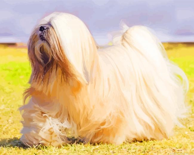 Aesthetic Lhasa Apso Dog Painting By Numberss.png
