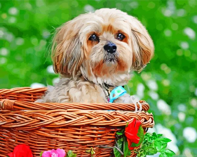 Aesthetic Lhasa Apso Painting By Numberss.png