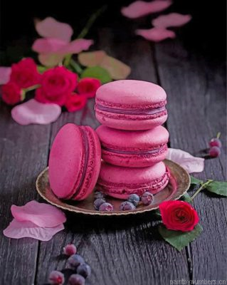 Aesthetic Macaroons Painting By Numbers.png