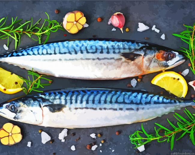 Aesthetic Mackerel Painting By Numberss.png