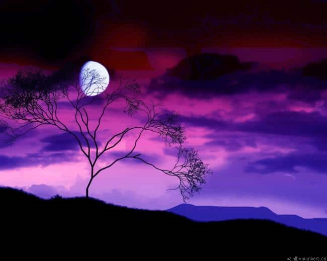 Aesthetic Nature Purple Sky Landscapes Painting By Numberss.png