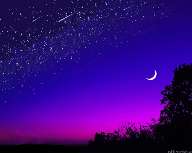 Aesthetic Night Moon Landscapes Painting By Numberss.png