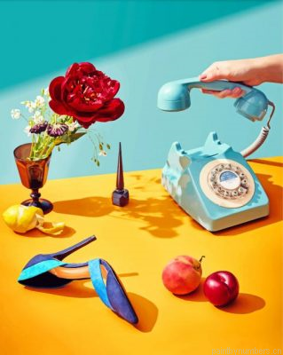 Aesthetic Object Still Life Painting By Numbers.png