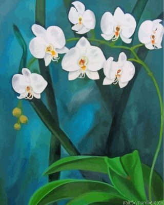 Aesthetic Orchid Flowers Painting By Numbers.png