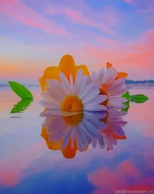 Aesthetic Oxeye Daisy Painting By Numberss.png