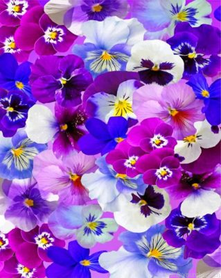 Aesthetic Pansy Flowers Painting By Numbers.png