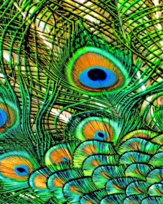 Aesthetic Peacock Feather Painting By Numbers.png