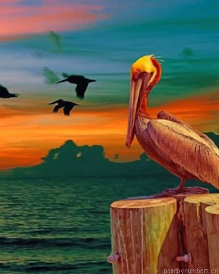 Aesthetic Pelican Bird Painting By Numbers.png