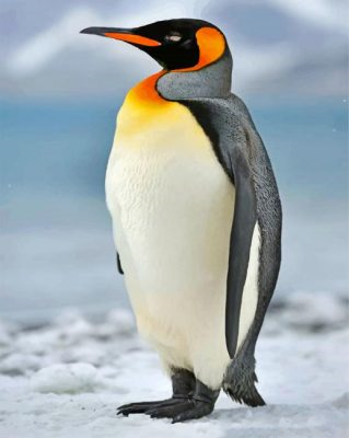 Aesthetic Penguin Bird Painting By Numbers.png