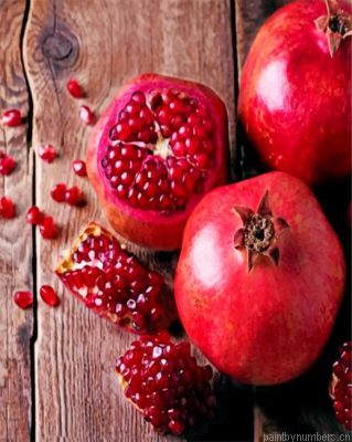 Aesthetic Pomegranate Painting By Numbers.png