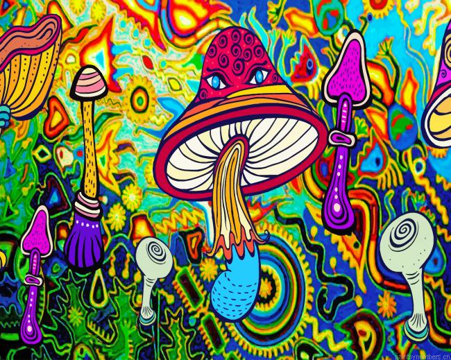 Aesthetic Psychedelic Art Painting By Numberss.png