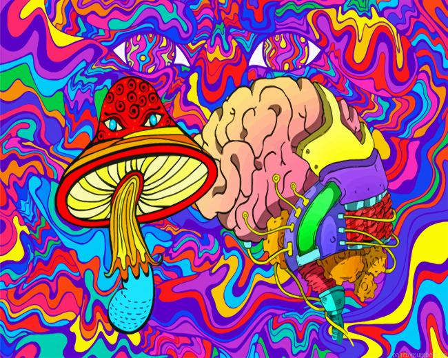 Aesthetic Psychedelic Painting By Numberss.png
