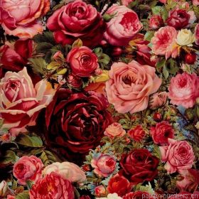 Aesthetic Red And Pink Roses Painting By Numbers.png