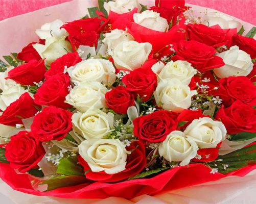 Aesthetic Red And White Roses Painting By Numbers.png