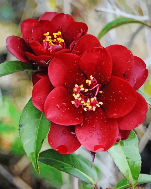 Aesthetic Red Camellia Painting By Numberss.png