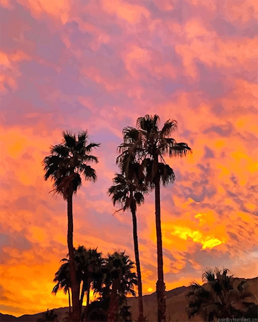 Aesthetic Sky Palm Trees Landscapes Painting By Numberss.png