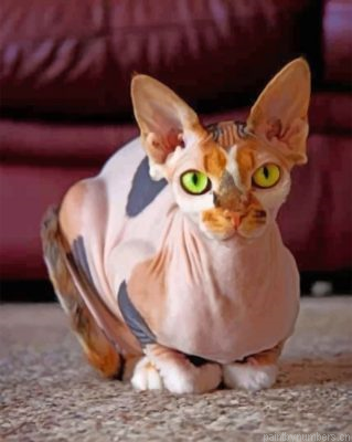 Aesthetic Sphynx Cat Painting By Numbers.png