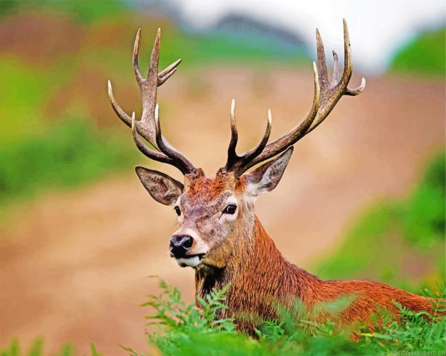 Aesthetic Stag Painting By Numberss.png