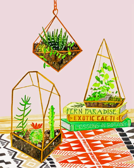 Aesthetic Succulents Painting By Numberss.png