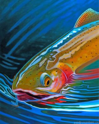 Aesthetic Trout Fish Painting By Numbers.png