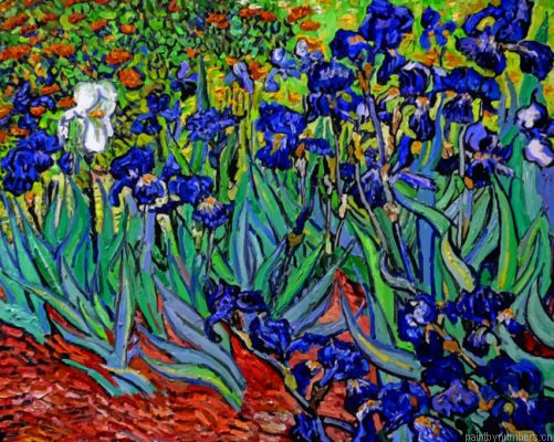 Aesthetic Van Gogh Irises Painting By Numbers.png