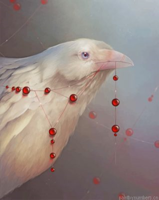 Aesthetic White Ravens Painting By Numbers.png