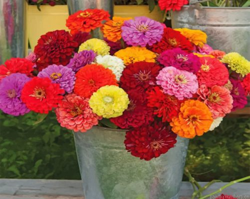 Aesthetic Zinnias Painting By Numbers.png