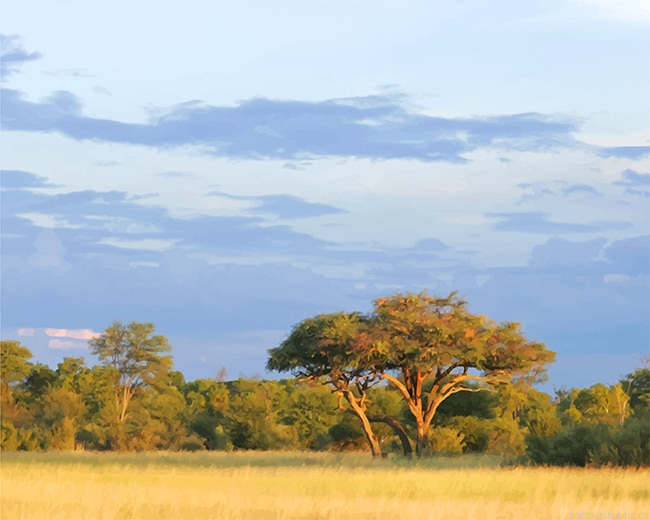African Acacia Trees Nature Painting By Numberss.png