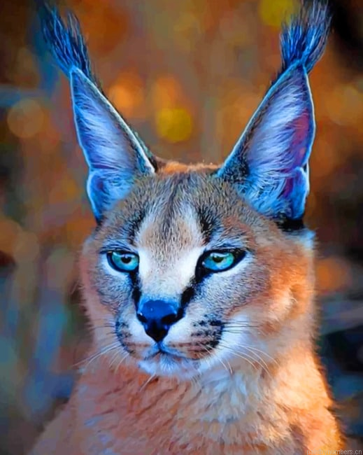 African Caracal Cat Animals Painting By Numberss.png