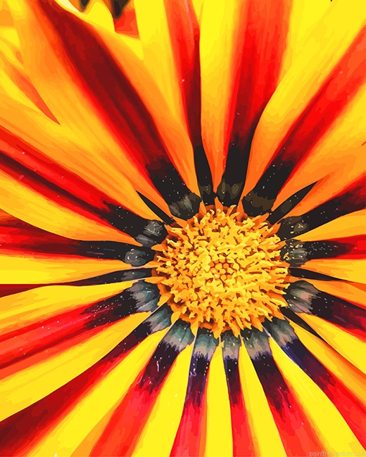 African Daisies Flowers Painting By Numberss.png