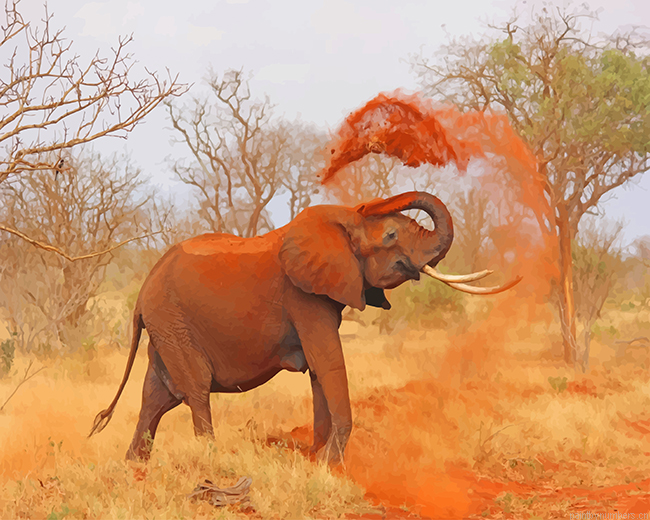 African Elephant Animals Painting By Numberss.png