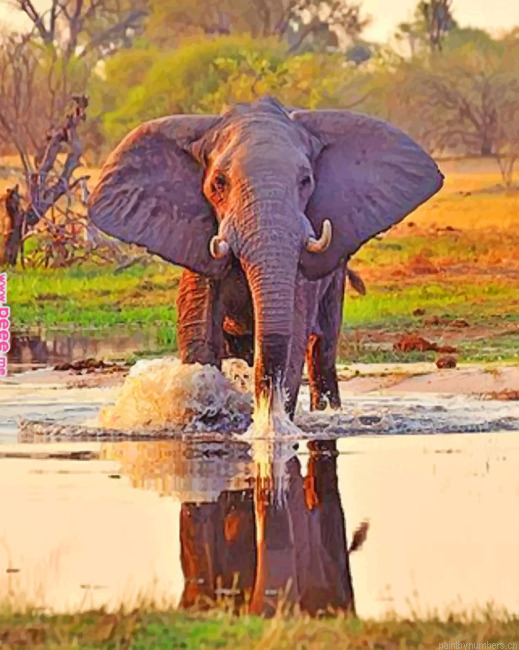 African Elephant In Water Animals Painting By Numberss.png