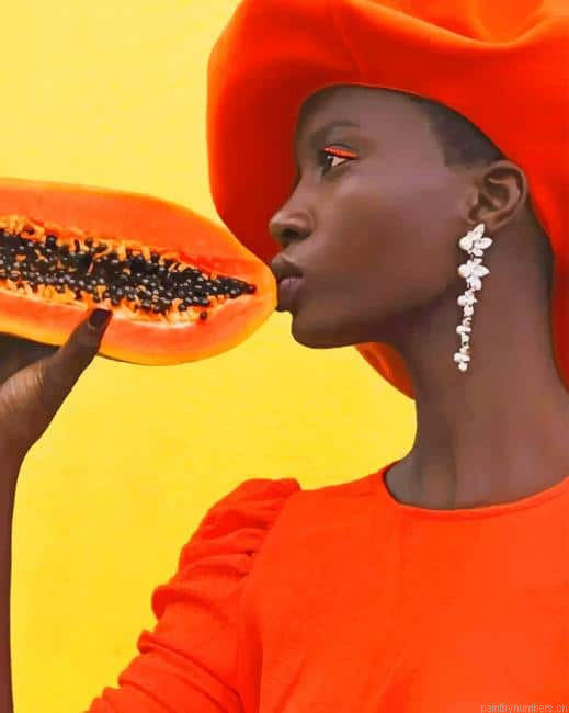 African Fashion Photography Painting By Numberss.png