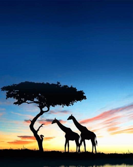 African Giraffes Silhouette Animals Painting By Numbers.png